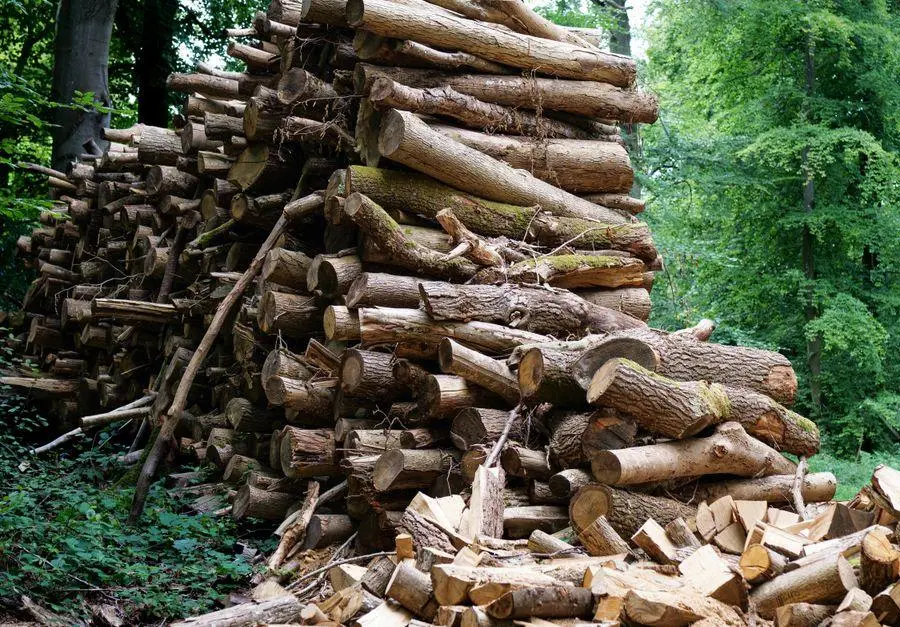 Meza inventarizacija